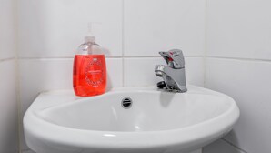 Appartement | Lavabo de la salle de bain