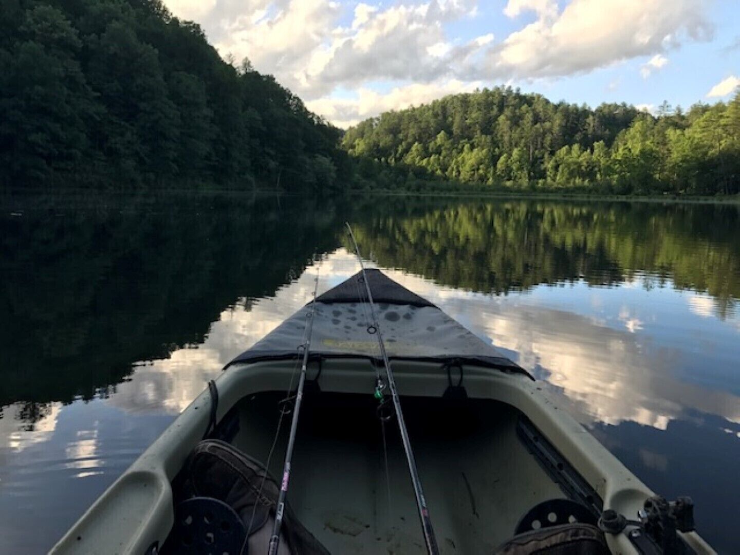 A boat with fishing rods and a canopy, on a calm lake surrounded by forest.
