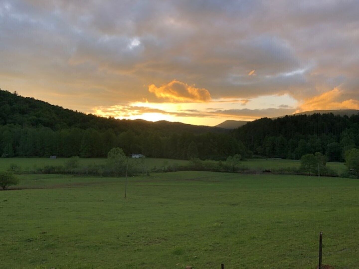 A rural landscape with a field, trees, and a hill in the background.