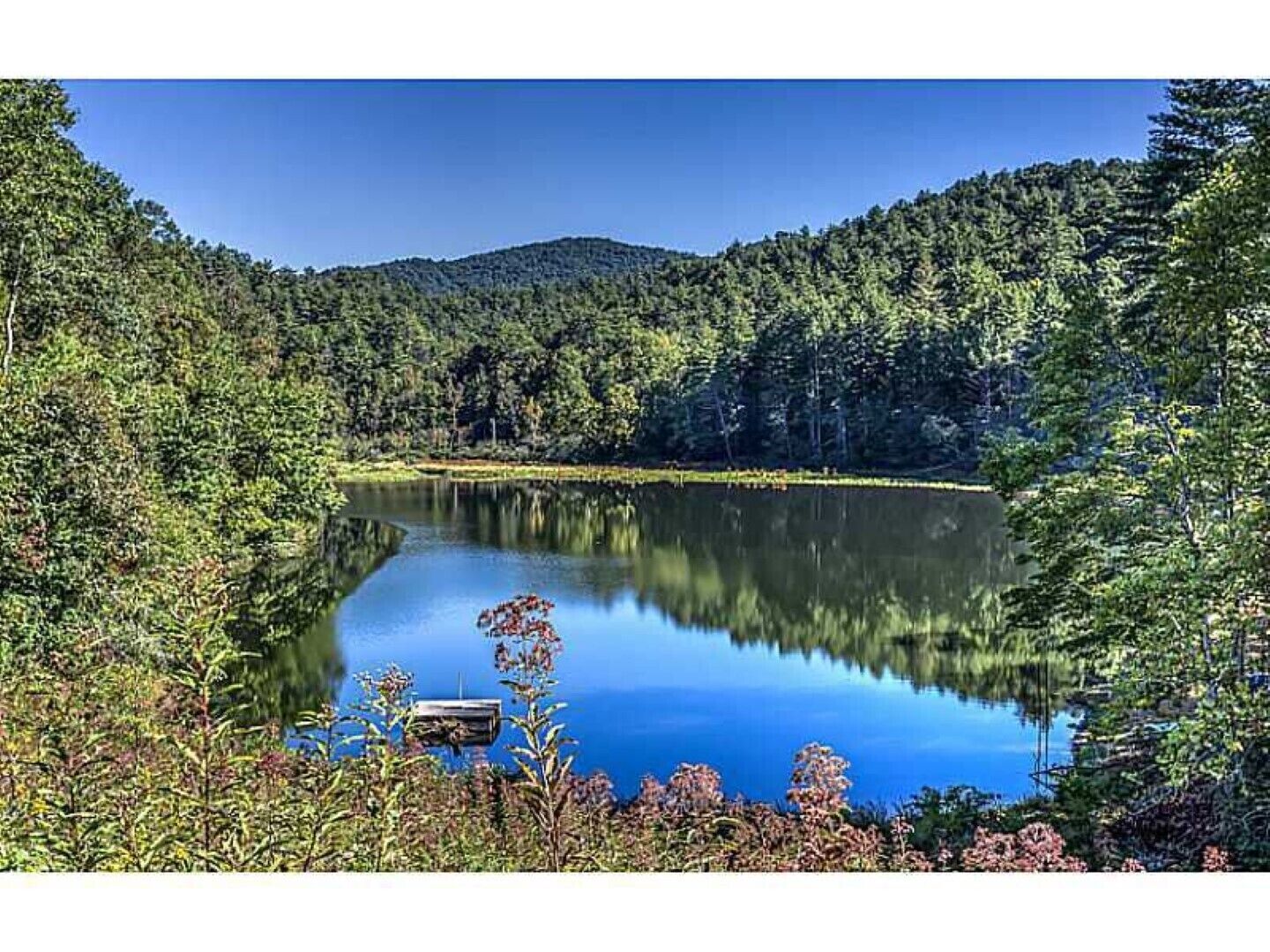 Exclusive private mountain and lake vacation in the Cohutta wilderness