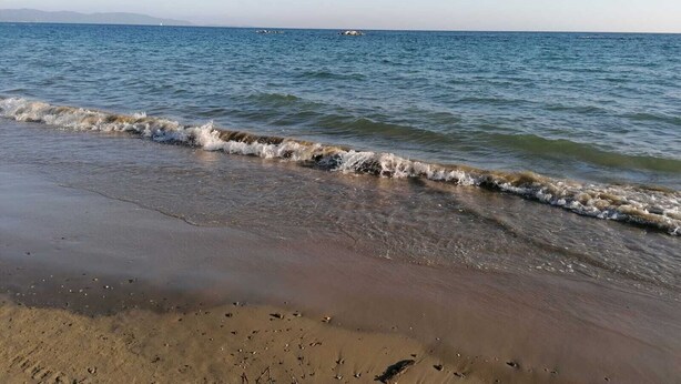 A beach with waves gently lapping at the shore, a clear sky, and distant mountains. - PROMOZIONE-Appartamento ristrutturato a 30 mt dal mare (Follonica)