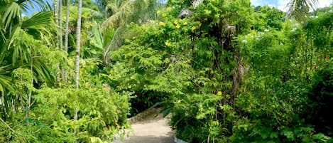 Studio Confort | Vue de la chambre