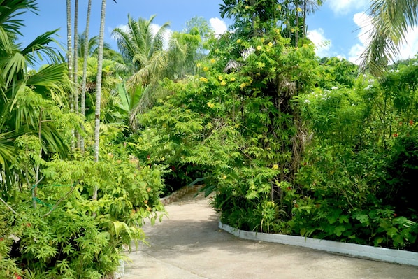 Comfort-Studio | Ausblick vom Zimmer