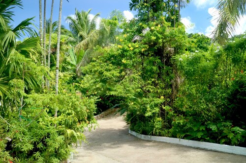 Lapasyans Self-Catering