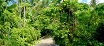 Lapasyans Self-Catering