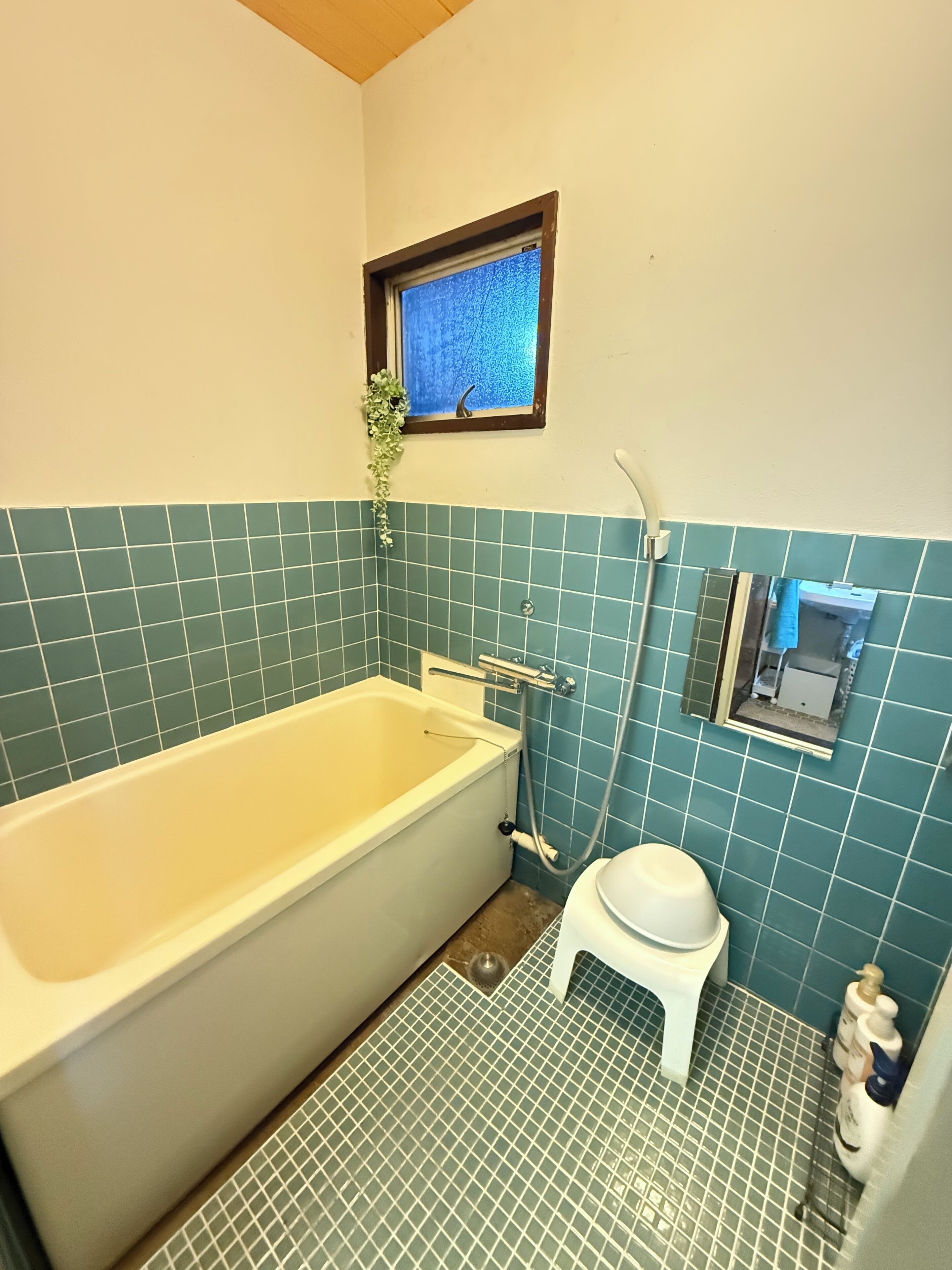Bathtub, hair dryer, towels, soap