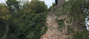 Appartement "Bach" dans une résidence baroque