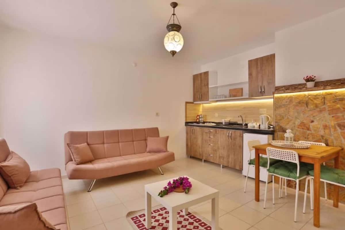 standard apartment, 1 bedroom, kitchen, garden view | private kitchen