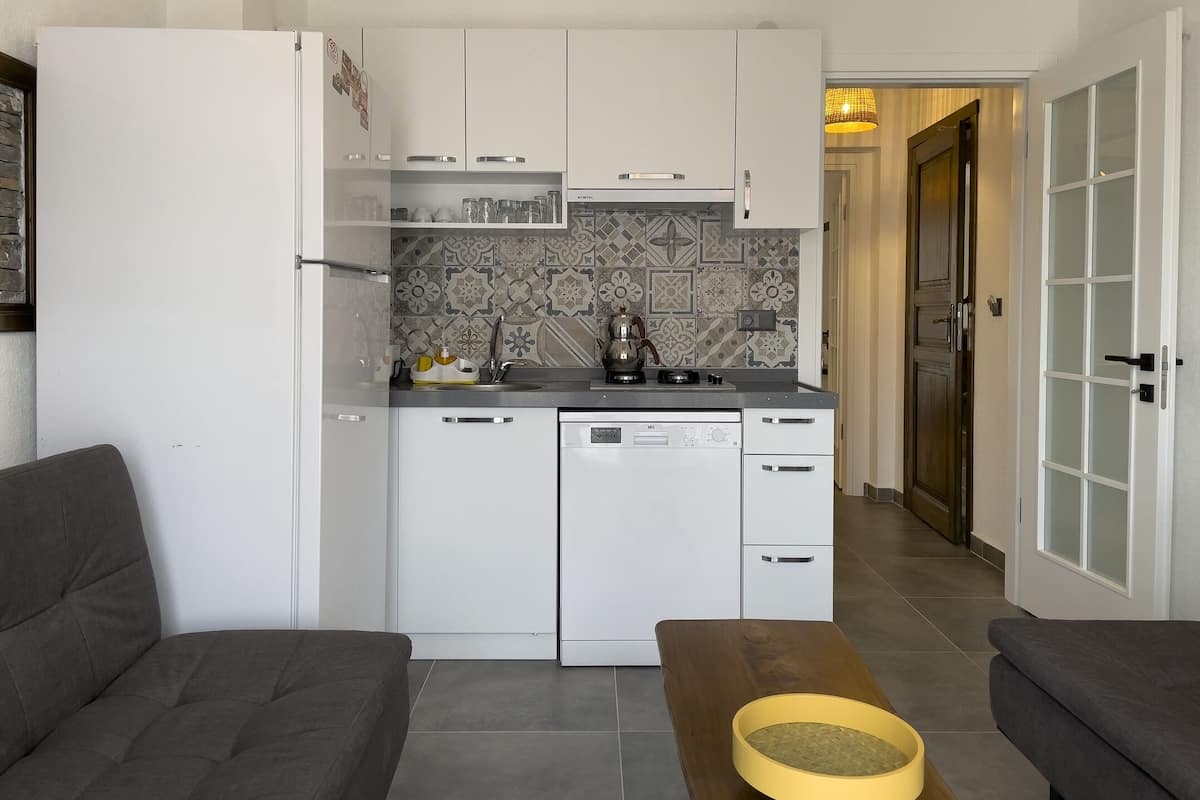 deluxe apartment, 1 bedroom, garden view | private kitchen