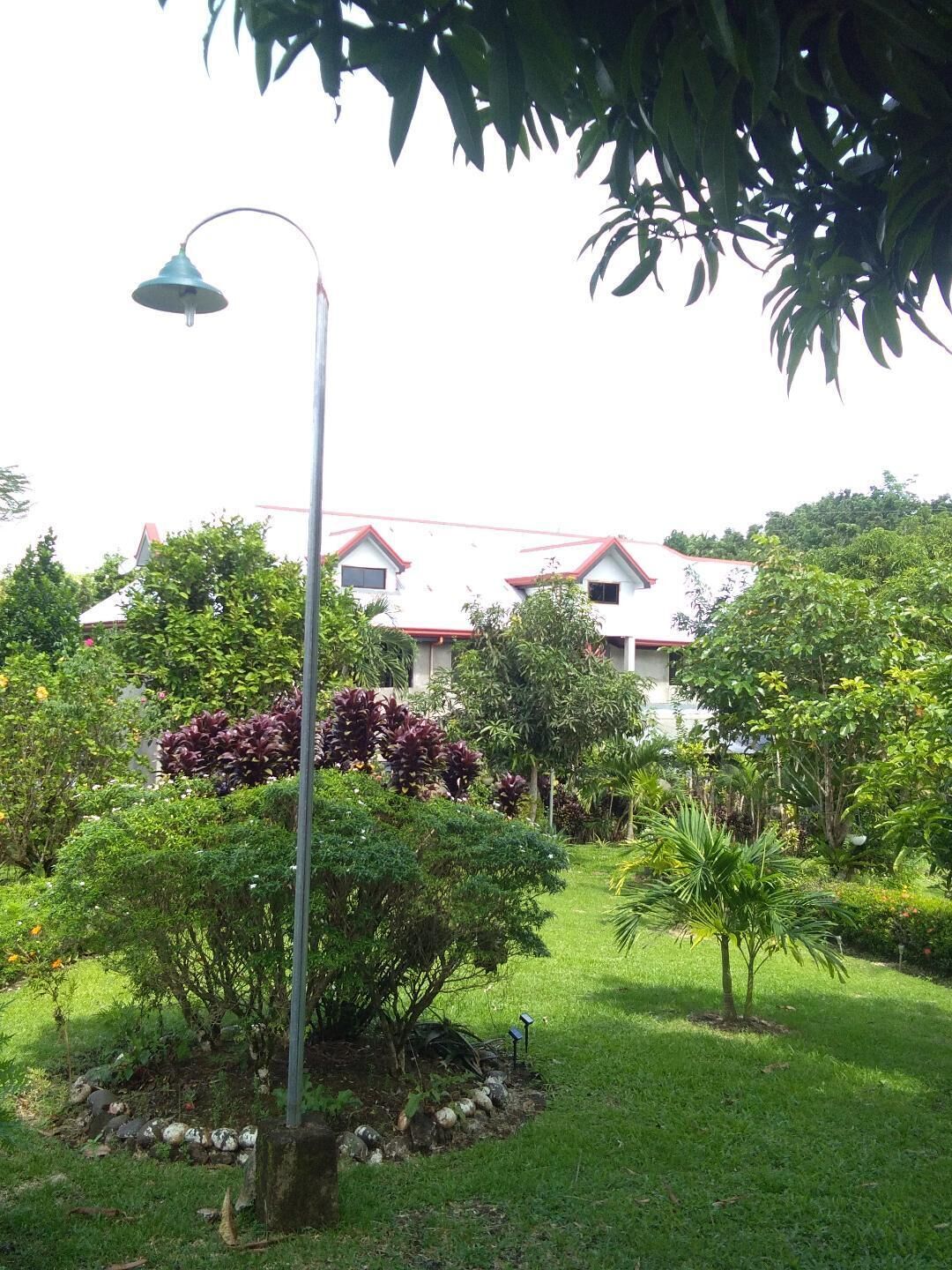 A well-maintained garden with a street lamp, various shrubs, and a building with a red roof in the background.