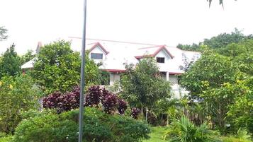 A well-maintained garden with a street lamp, various shrubs, and a building with a red roof in the background.