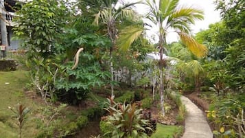 Blick auf den Garten