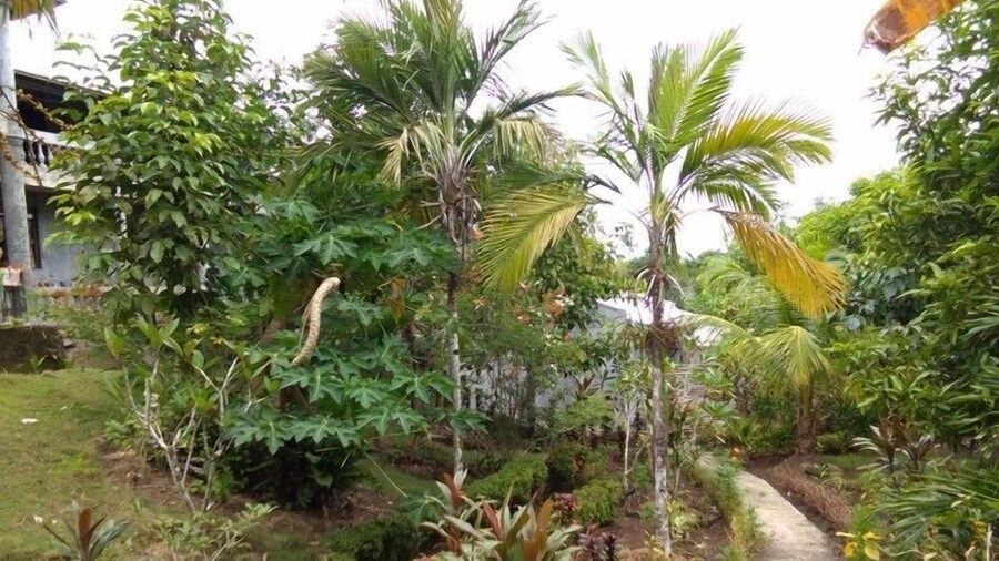 Jupiter's Garden Resort