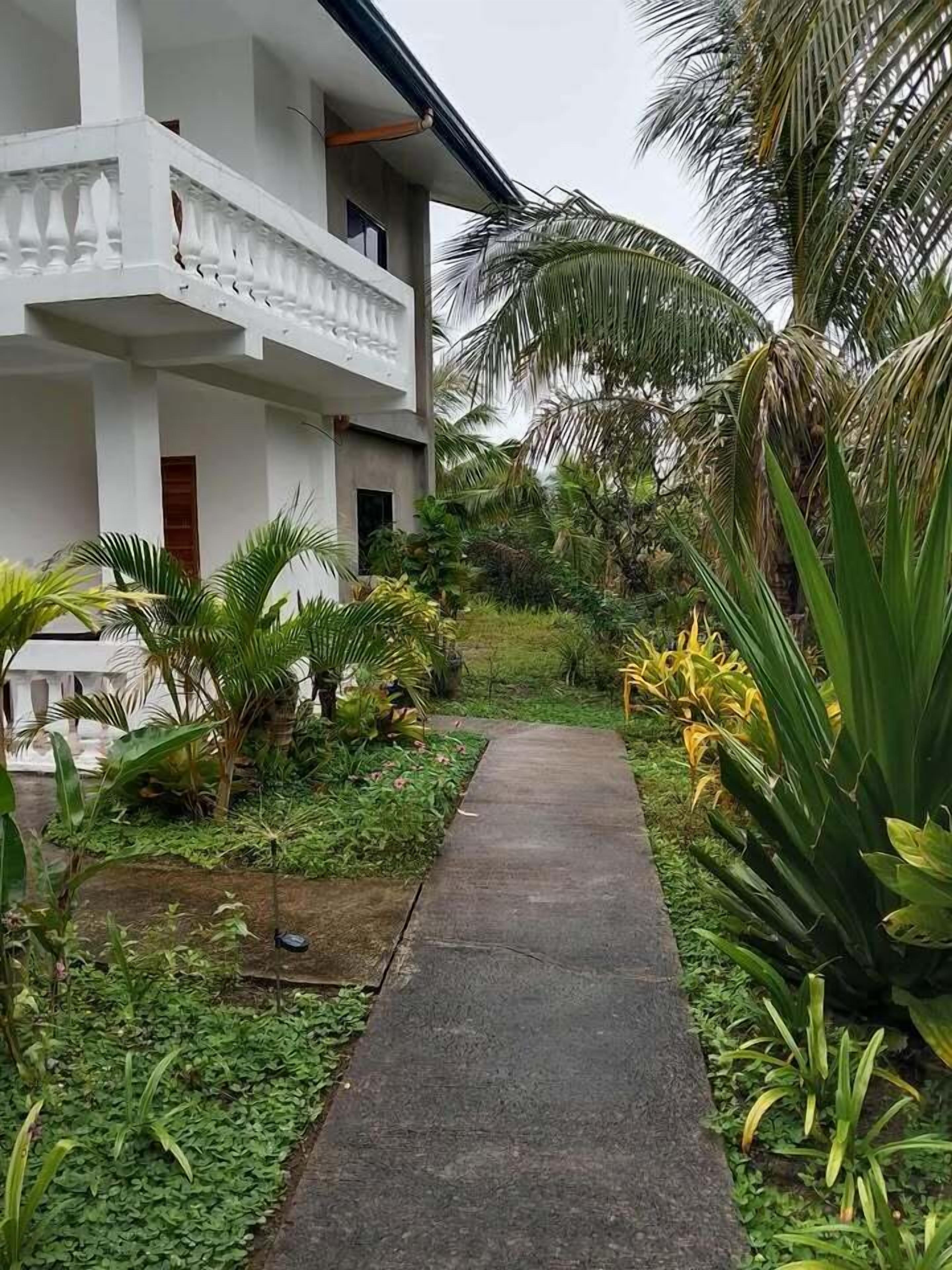 Un camino que lleva a un edificio blanco con balcón, rodeado de abundante vegetación y palmeras.