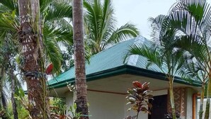 A house with a green roof, surrounded by lush tropical vegetation. - Jupiter's Garden Resort (Lawaan)