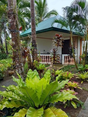 Exterior - Jupiter's Garden Resort (Lawaan)