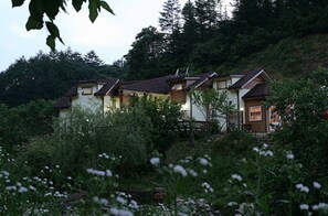 A row of wooden houses with multiple windows, surrounded by dense greenery and trees. - Namoo Namoo Pension (Gapyeong)