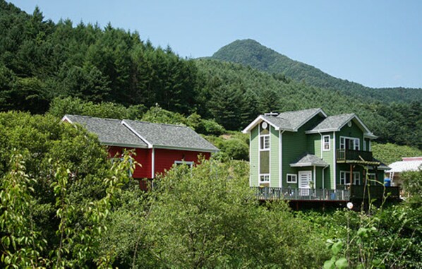A green house with a porch and a red house in a forested area.