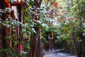 Jardin