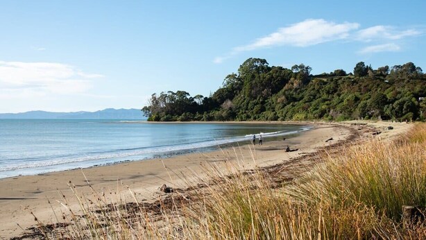 A beach with a sandy shore, grassy dunes, and a forested hill in the background. - Sunrise at Parapara Beach (Parapara)