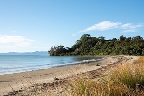 A beach with a sandy shore, grassy dunes, and a forested hill in the background. - Sunrise at Parapara Beach (Parapara)