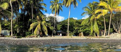 Beach nearby, sun loungers
