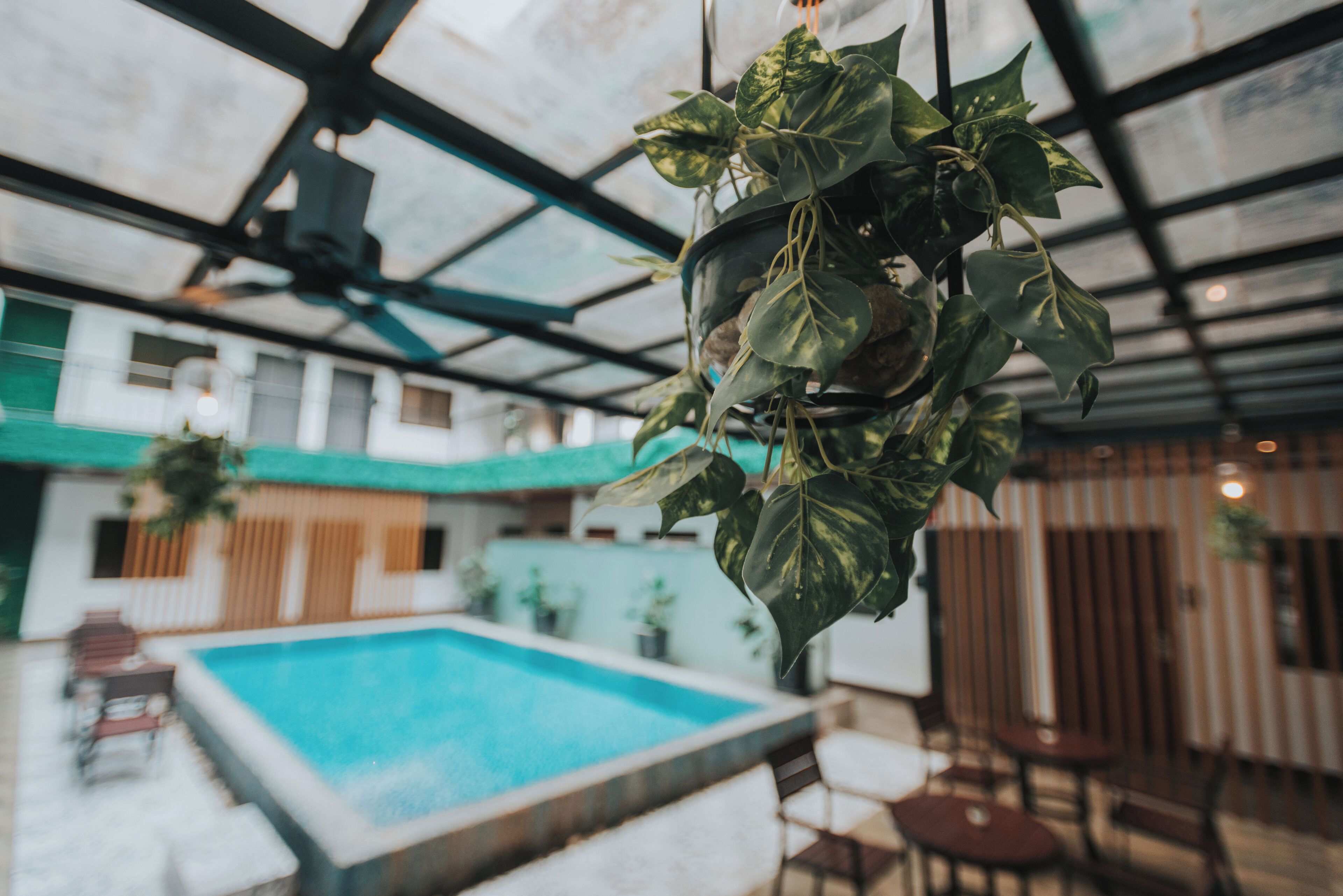 An indoor swimming pool area with a hanging plant, a pool table, and a seating area.