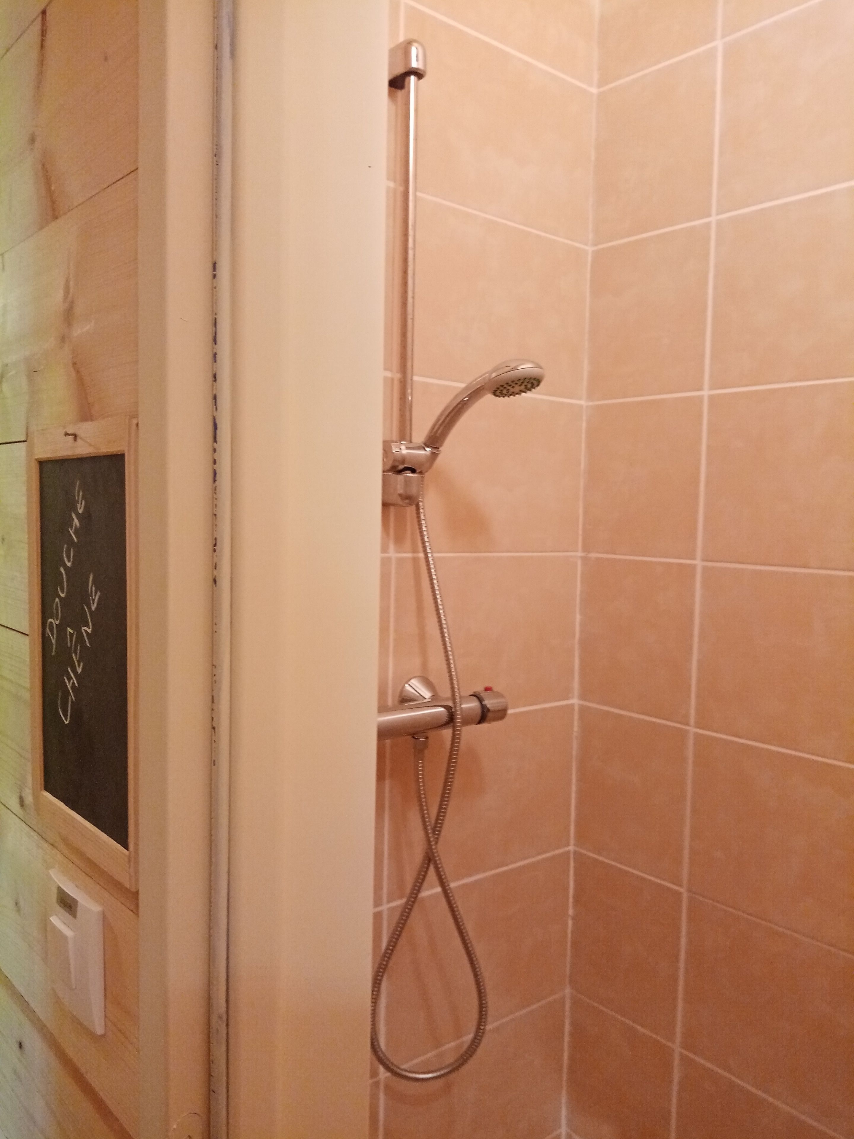 A shower with a handheld showerhead and a handheld hose.