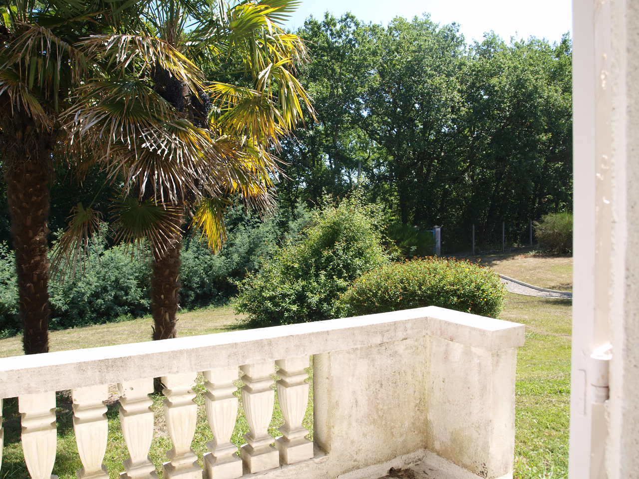 A concrete balcony with a balustrade, surrounded by lush greenery and trees.