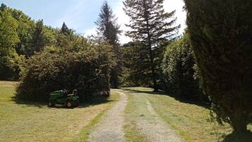 Een grindpad dat door een bebost gebied loopt, met een groene tractor aan de linkerkant geparkeerd.