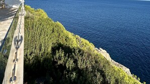 Una carretera costera con barandilla de metal, vegetación verde exuberante y un mar azul claro bajo un cielo despejado.