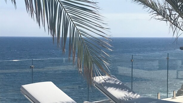 Vista al mar con dos tumbonas y una palmera.