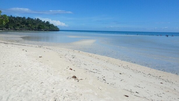 Ein Strand mit klarem, blauem Wasser, sandigem Ufer und einem bewaldeten Küstenstreifen im Hintergrund.