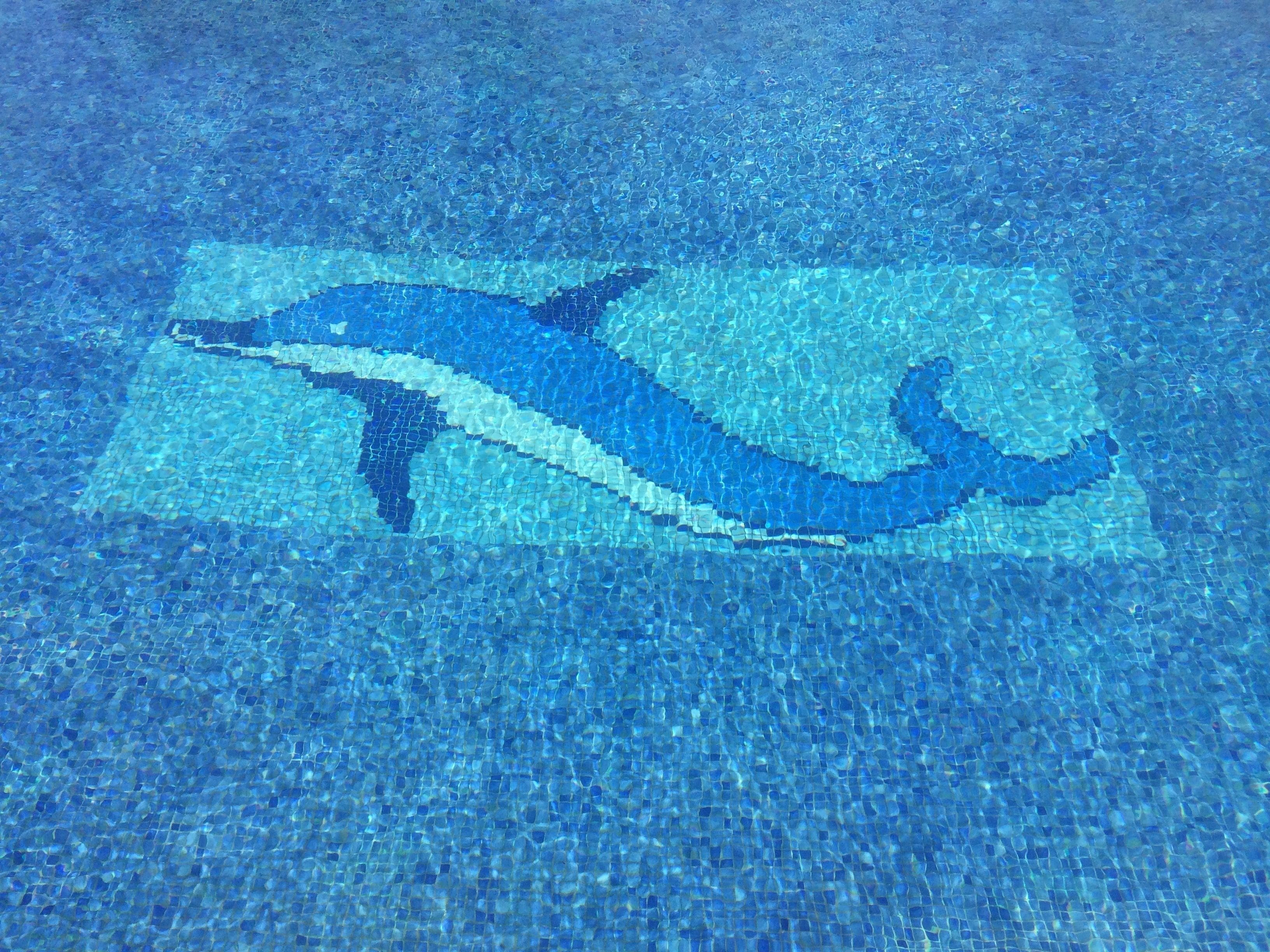 Foto - Espacio Finca Alegría - Rural Houses & Rooms