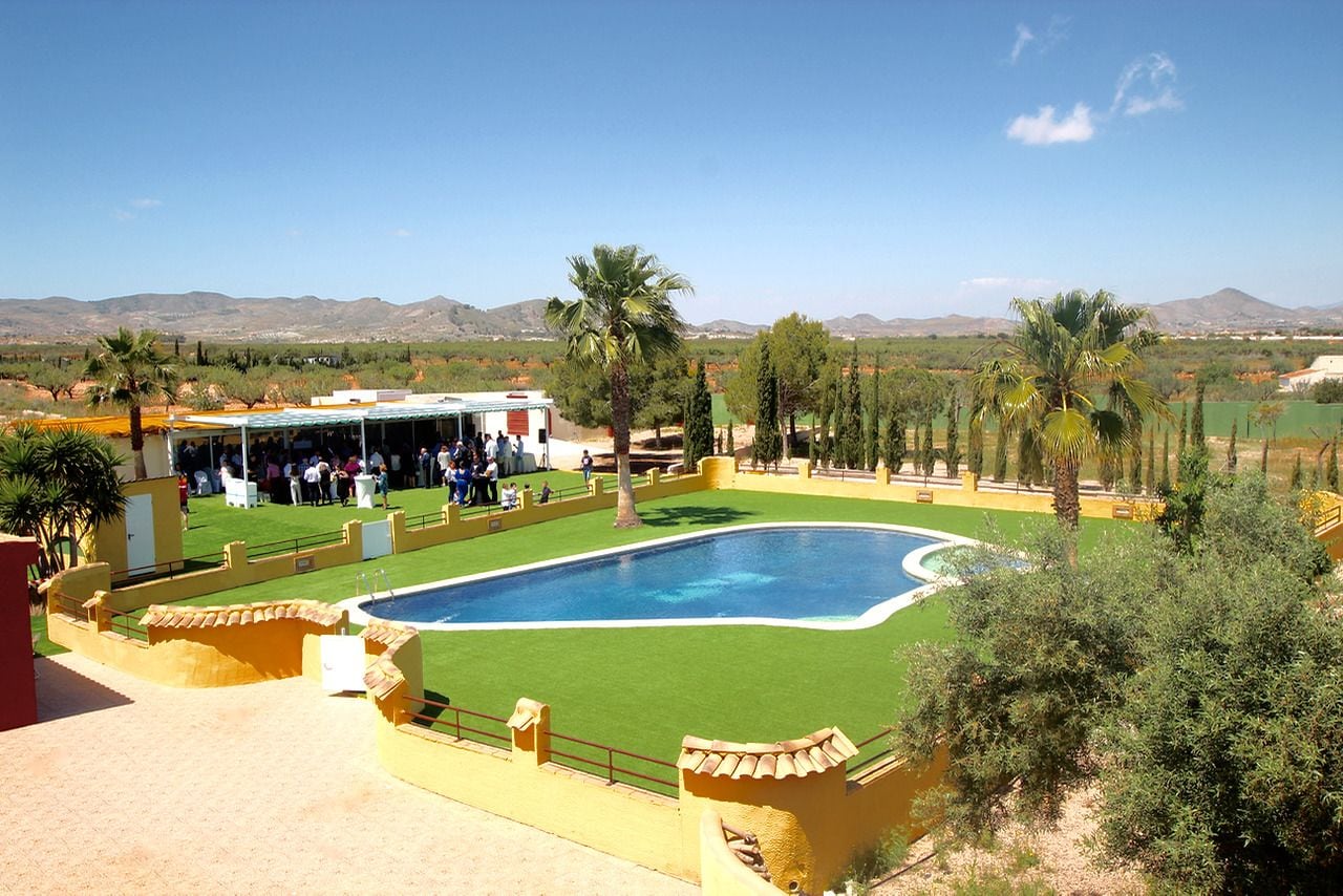 Una piscina al aire libre