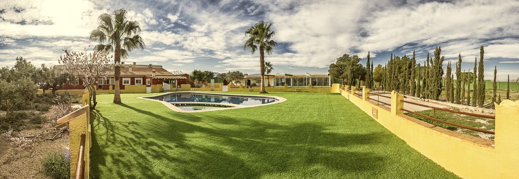 A pool surrounded by a well-maintained lawn, palm trees, and a yellow fence.