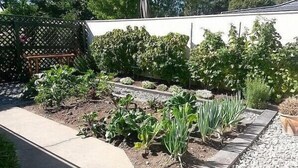 Un jardín con diversas plantas y una cerca de madera.