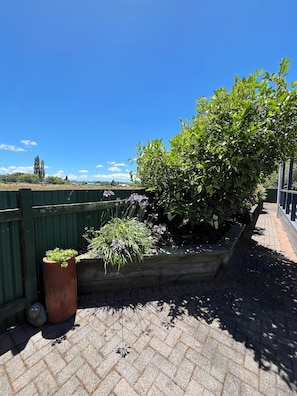 Áreas de la propiedad