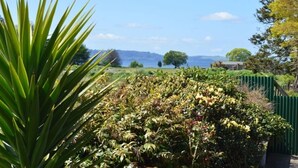 A garden with a variety of plants and a view of distant mountains.