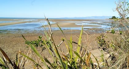 Tomatea Rua - Golden Bay Bach (Pakawau Beach)