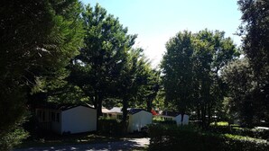 A row of mobile homes with a grassy yard and trees.