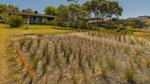 A residential area with a house, a well-maintained lawn, and a large tree. - Norma's Place - Simpsons Beach Bach (Whitianga)