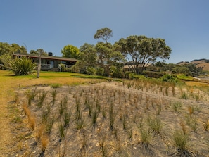 Property grounds - Norma's Place - Simpsons Beach Bach (Whitianga)