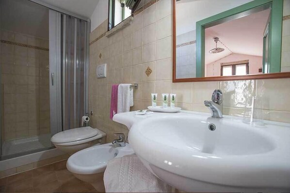 A bathroom with a shower, toilet, bidet, and a large sink with a mirror above it.