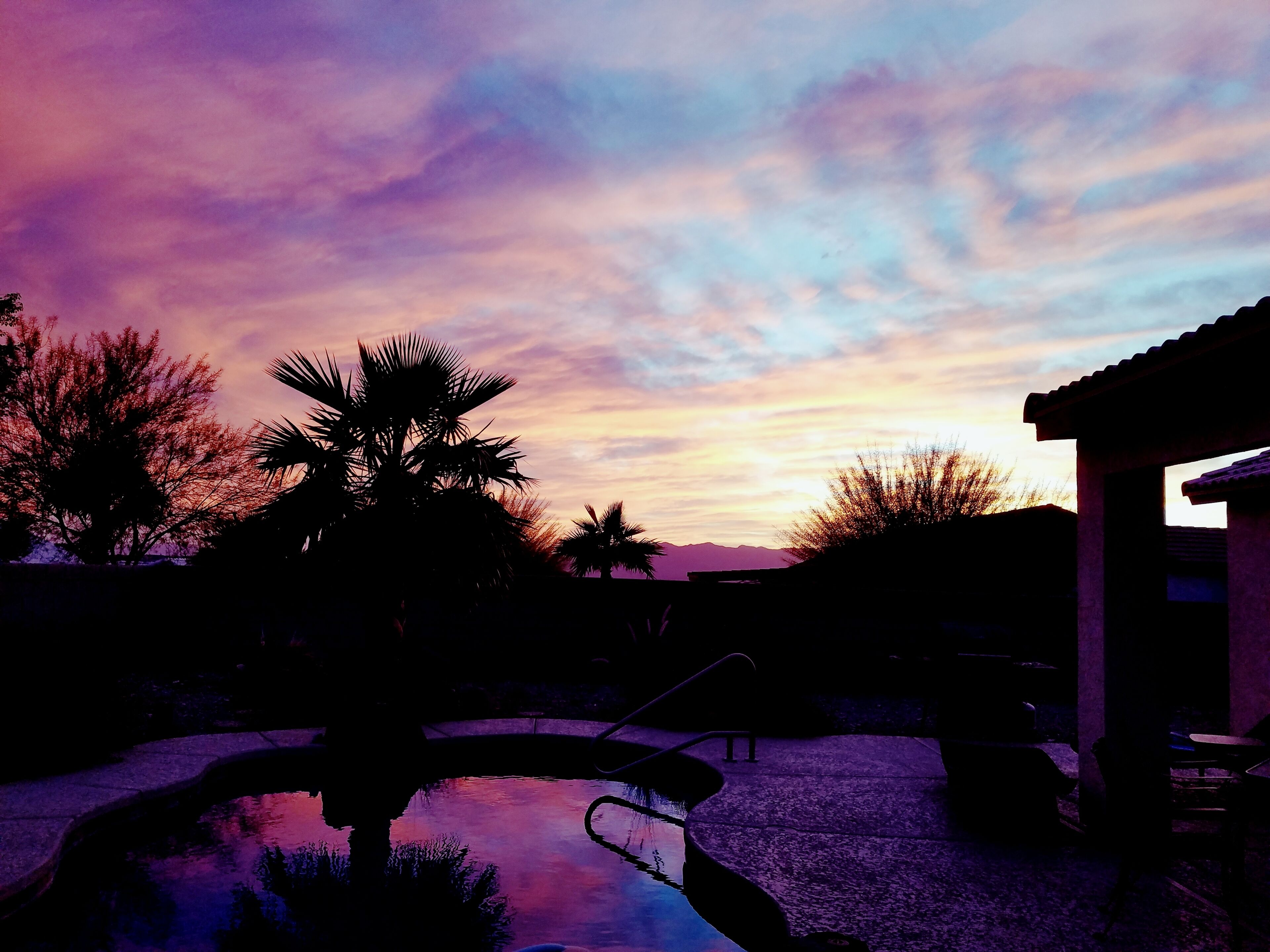 Beautiful Desert Oasis