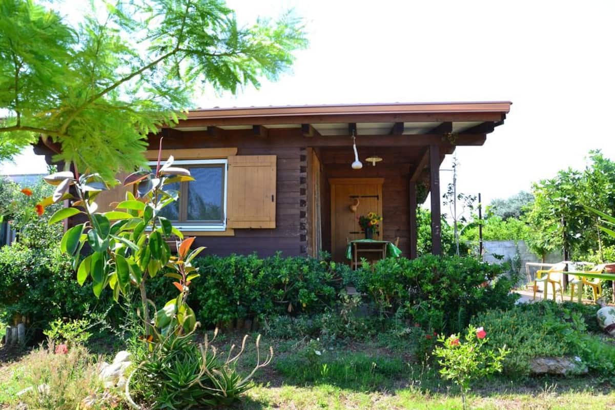 Een houten chalet met een groot raam en een deur, omgeven door een verzorgde tuin met diverse planten en een kleine tafel met stoelen.