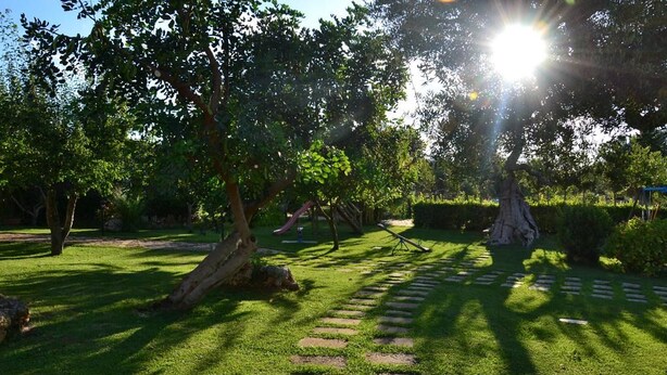 A garden with a stone pathway, trees, and a clear sky. - B&B SanteBice (Polignano a Mare)