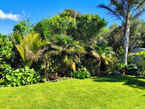 Un rigoglioso giardino con diverse piante tropicali e un prato curato.