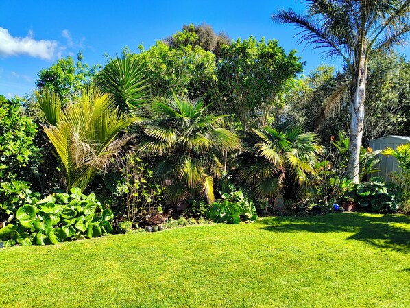 A lush garden with various tropical plants and a well-maintained lawn.