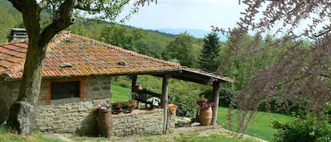 BBQ/picnic area
